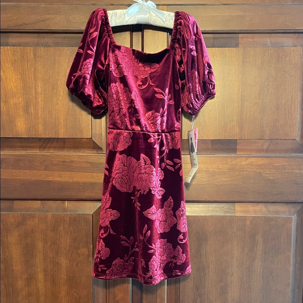 Rare Editions Burgundy Velvet Dress